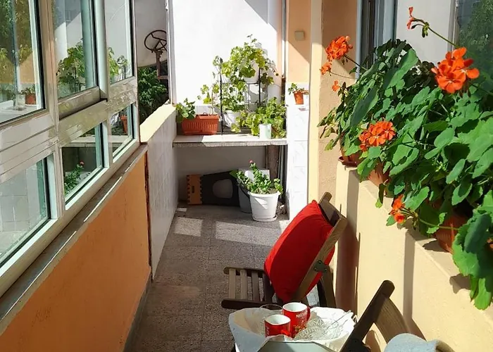 Slivnitsa 105 公寓 *